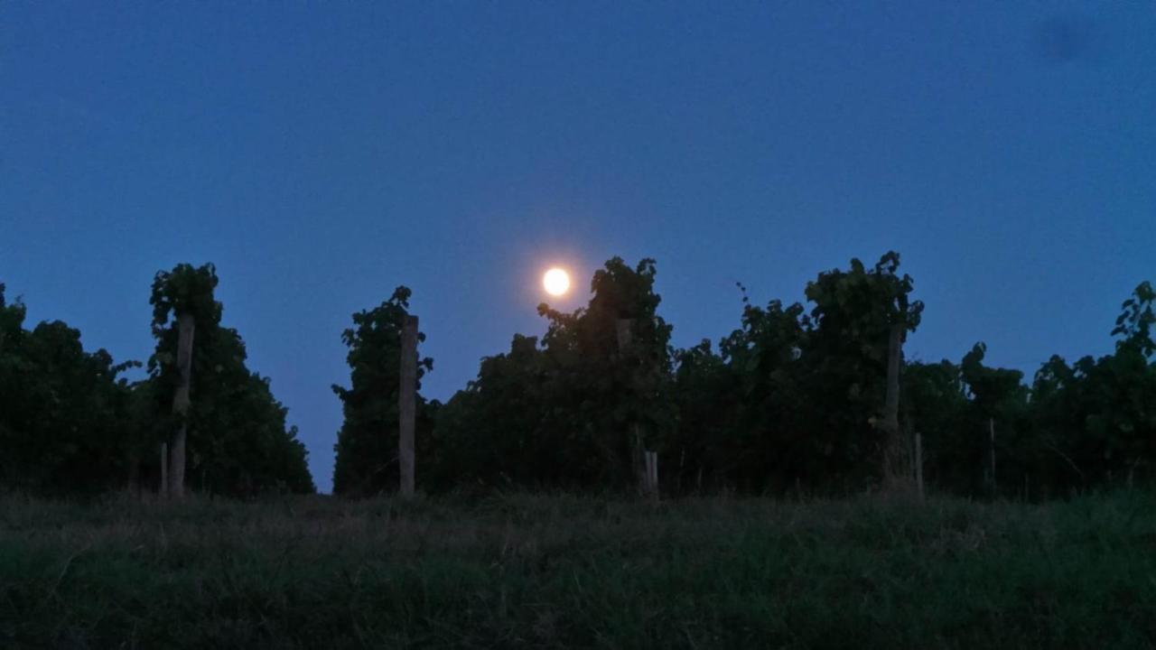 Dom Peyreton Prestige Cottages Set In A Charming Wine Property Villegouge Exterior foto